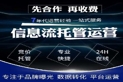 案例分析：SEM广告助力电商行业突破